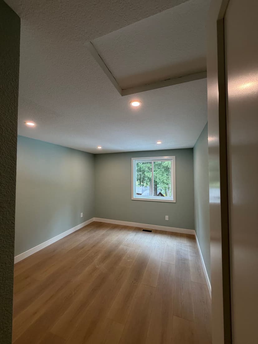Empty room with new lighting, light green walls, and a window overlooking trees.