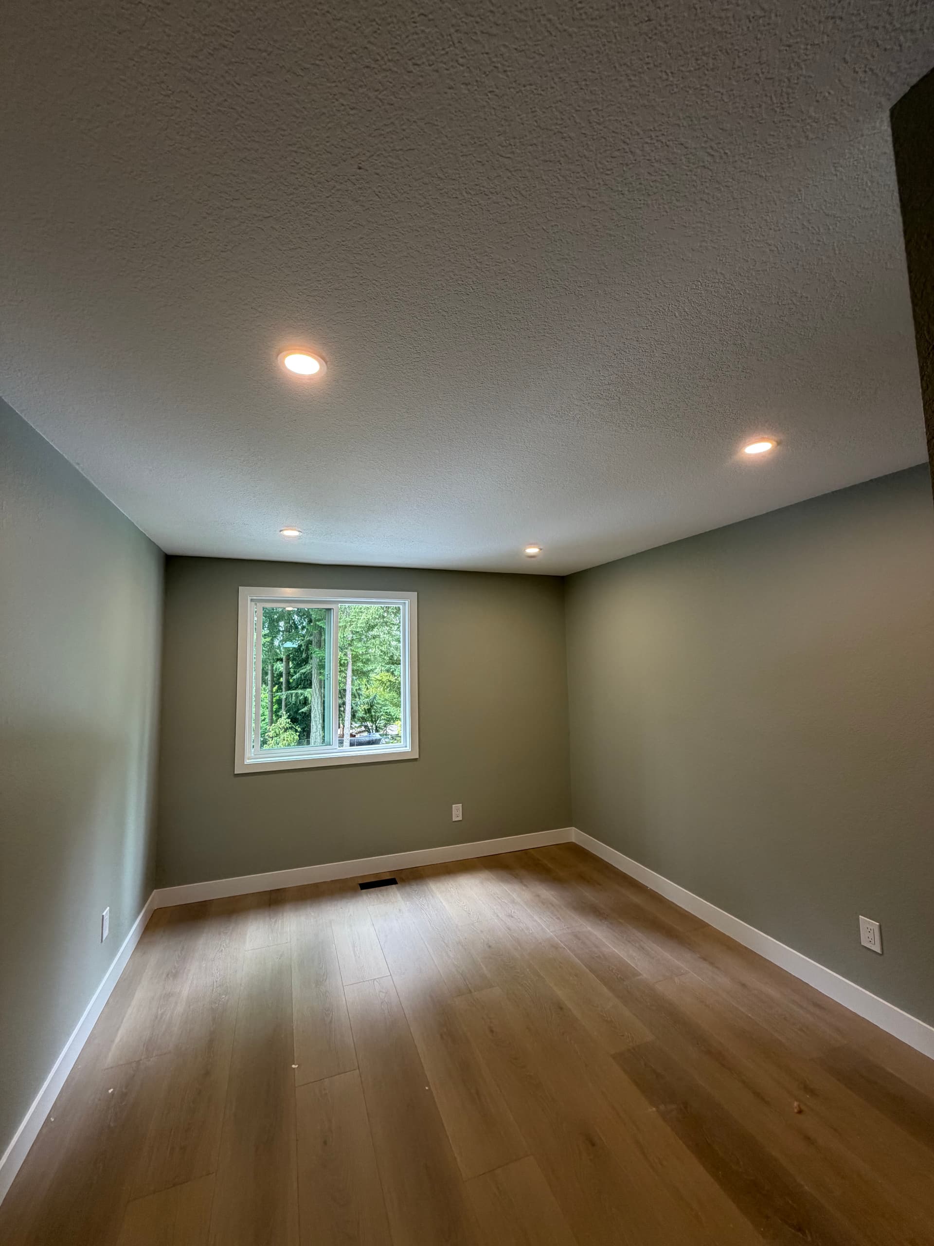 Gallery photos for Full Home Lighting Redesign Done Right in Bothell: Image #7